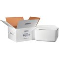 The Packaging Wholesalers Foam Insulated Shipping Kit, 17"L x 17"W x 9"H, White 250C